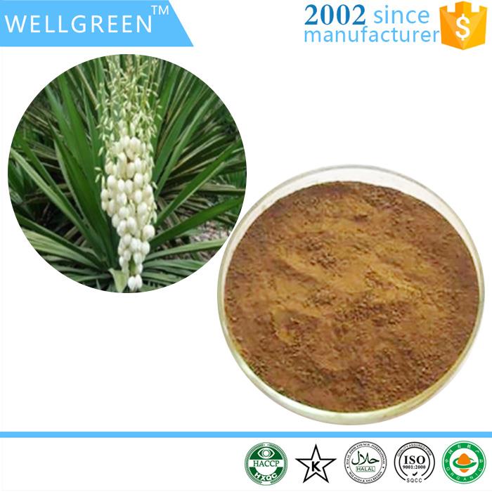 Le dosage de recommandation au sujet de l'extrait de Yucca