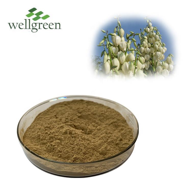 Extrait de yucca