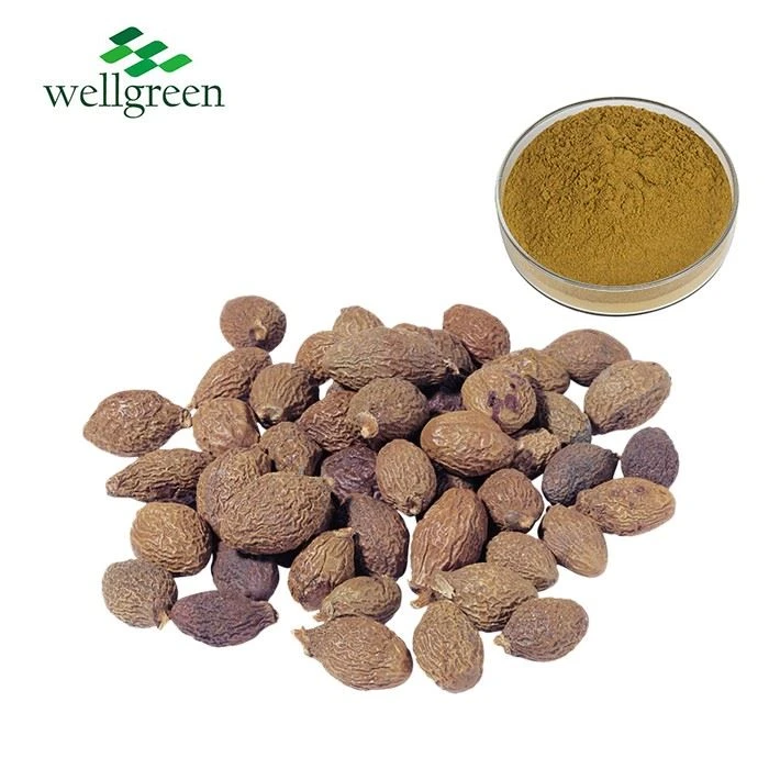 Boat-fruited Sterculia Seed Extract