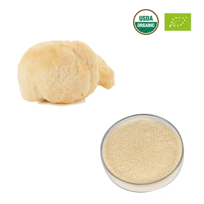 organic-lions-mane-mushroom-extractf965fb55-9835-4d3c-a687-988d401af775 2 organic-lions-mane-mushroom-extractf965fb55-9835-4d3c-a687-988d401af775 2