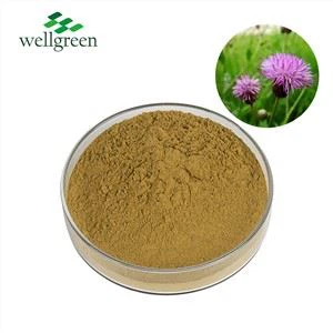 milk-thistle-extract49089345573 1 milk-thistle-extract49089345573 1